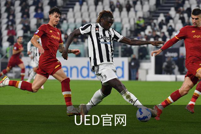 UED官网公司简介